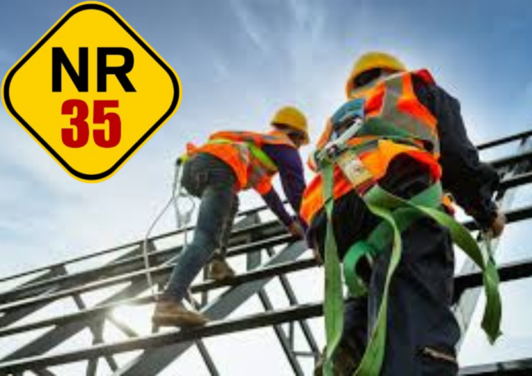 Nr-33