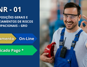 Treinamento Introdutório de NR 01