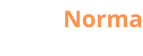 Logo Qualinorma sem fundo (3)